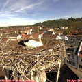 10_10-nest.jpg