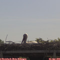 10_30-mast.jpg