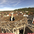 10_35-nest.jpg