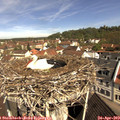 10_40-nest.jpg