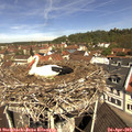 11_15-nest.jpg