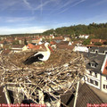 11_40-nest.jpg