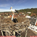 12_15-nest.jpg