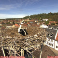 12_25-nest.jpg