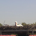 12_30-mast.jpg