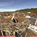 12_30-nest.jpg