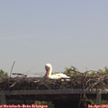 12_35-mast.jpg
