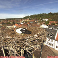 12_45-nest.jpg