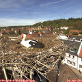 13_05-nest.jpg