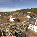 13_15-nest.jpg