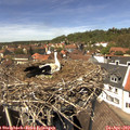 13_40-nest.jpg