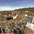 13_45-nest.jpg