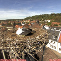14_05-nest.jpg