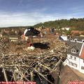 14_10-nest.jpg