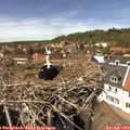 14_15-nest.jpg
