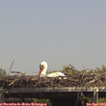 14_20-mast.jpg