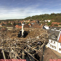 14_20-nest.jpg