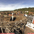 14_25-nest.jpg