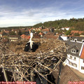 14_30-nest.jpg