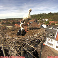 14_45-nest.jpg