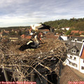 15_30-nest.jpg