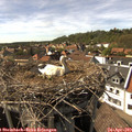 16_10-nest.jpg