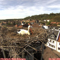 16_15-nest.jpg