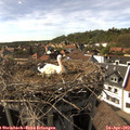 16_25-nest.jpg