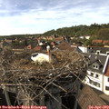 16_35-nest.jpg