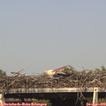 16_45-mast.jpg