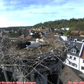 16_45-nest.jpg