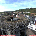 16_55-nest.jpg