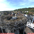 17_20-nest.jpg