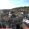 18_15-nest.jpg