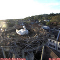 19_40-nest.jpg