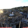 20_00-nest.jpg