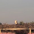 20_05-mast.jpg
