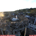20_05-nest.jpg