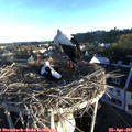 06_55-nest.jpg