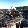 07_00-nest.jpg