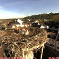 07_55-nest.jpg