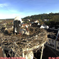 08_05-nest.jpg