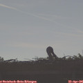 08_15-mast.jpg