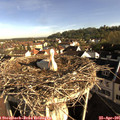 08_15-nest.jpg