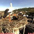 08_25-nest.jpg