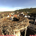 08_30-nest.jpg