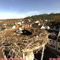 08_35-nest.jpg