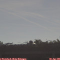 08_40-mast.jpg