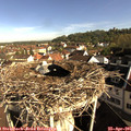 08_40-nest.jpg