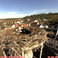 08_45-nest.jpg